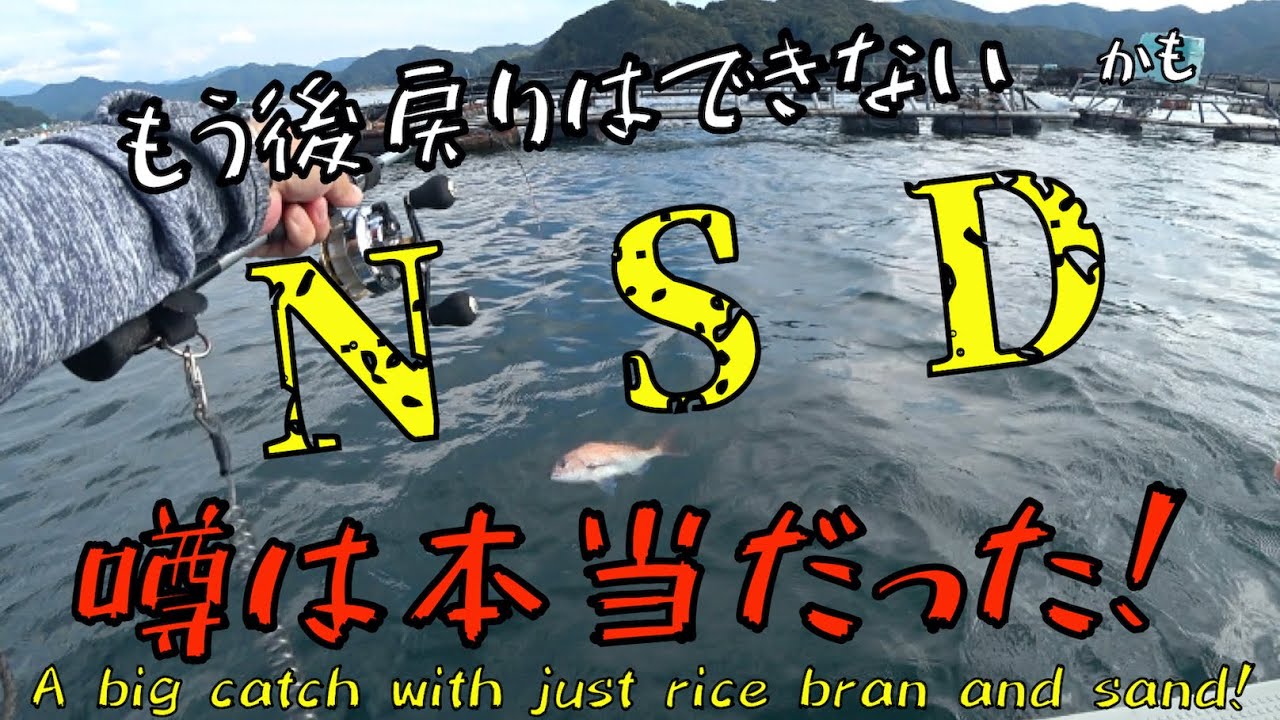【ダンゴ釣り】ネットで見つけた『NSD』ダンゴの噂は本当だった！釣り餌関係の人は見ない方が良いかもw