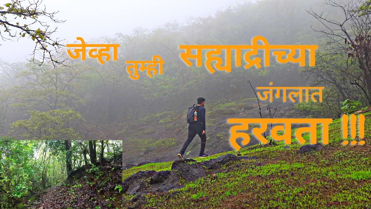 सुमारगड | Monsoon trekking | महाबळेश्वर कोयनाचे घनदाट जंगल  | Khed | Ratnagiri | Kokan