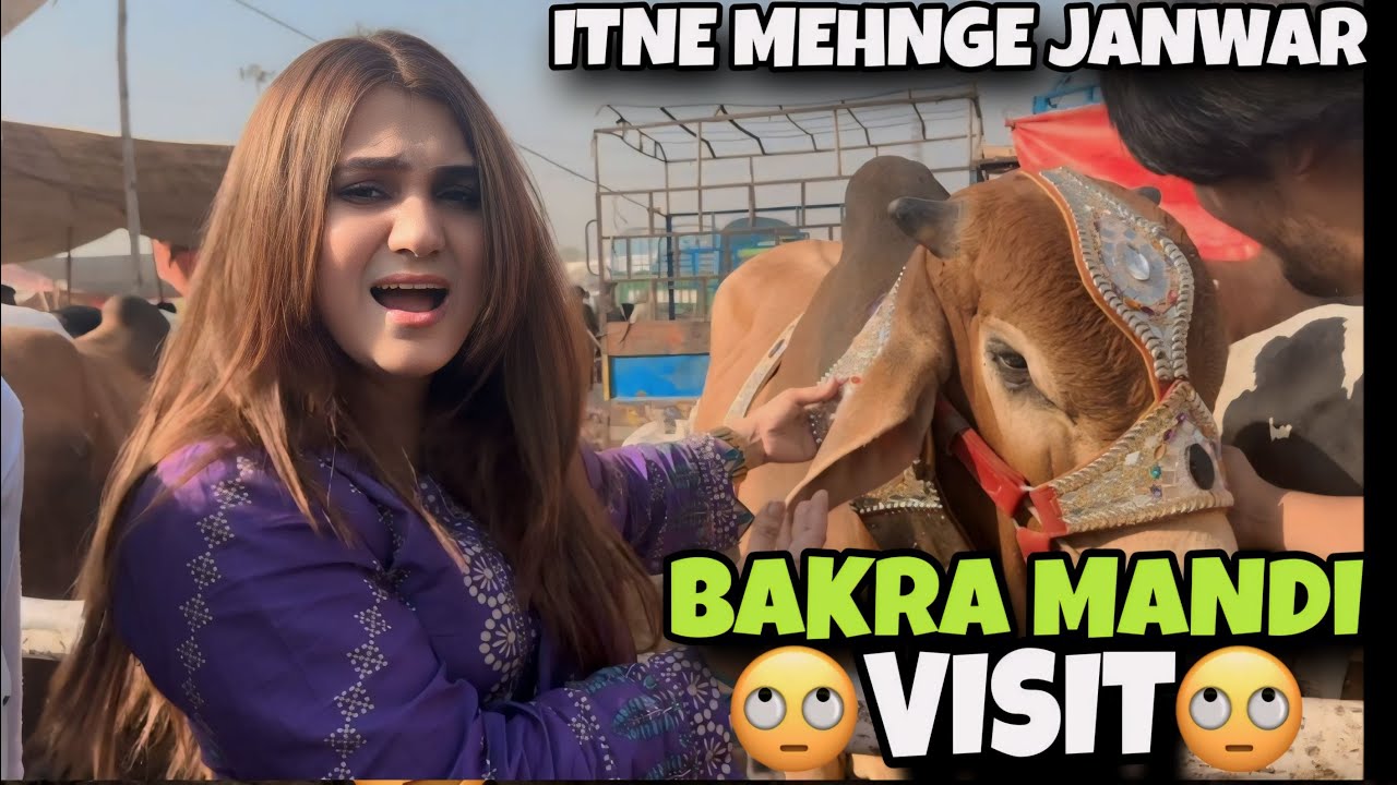 FIRST TIME IN MANDI // ITNA MEHNGA JANWAR