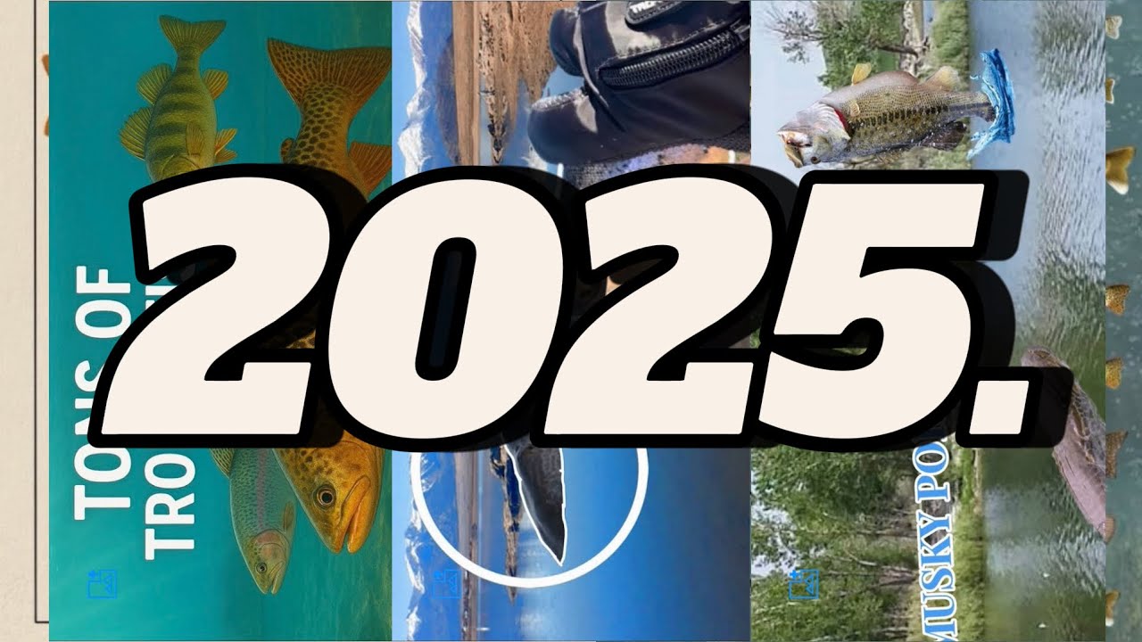 My top 3 favorite videos of 2025