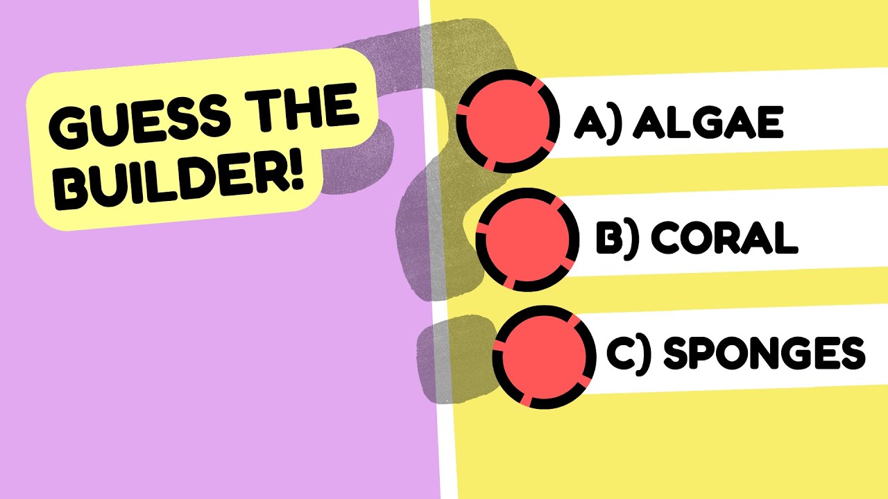 Test Your Knowledge! Fun & Fast Coral Reef Quiz 🌊🐠 #OceanTrivia #shorts