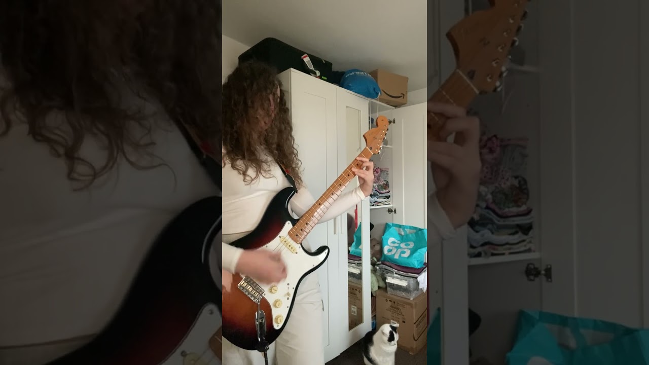 Nirvana Frances Farmer Will Have Her Revenge On Seattle (Guitar Cover)