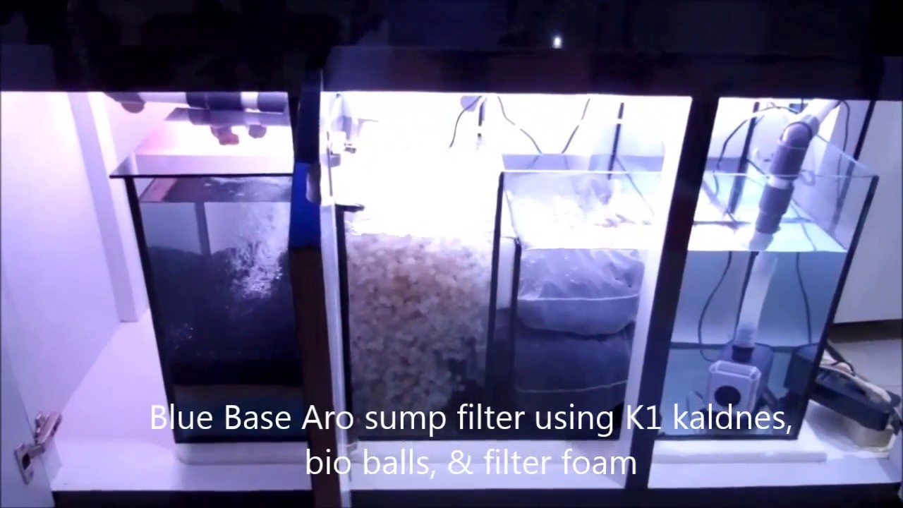 My Super Red & Blue Base Arowana Sump Filter K1 media
