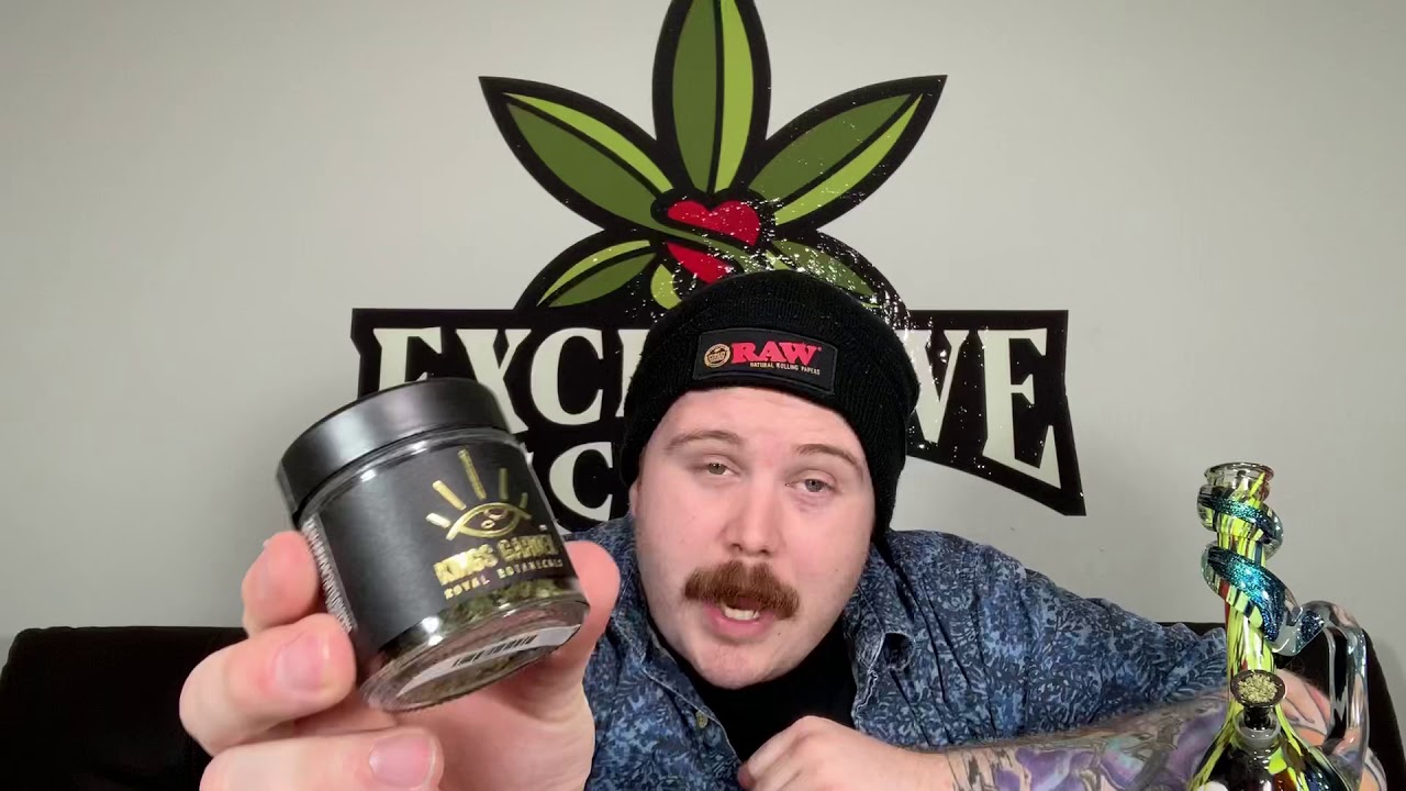 Exclusive Care Strain Review &ldquo;Jack Herer&rdquo; by Kings Garden