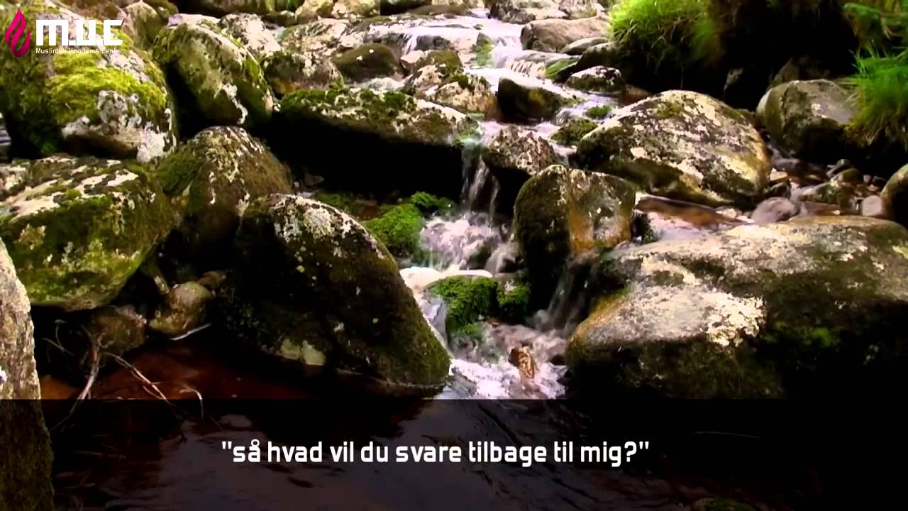 Ibrahims ofring