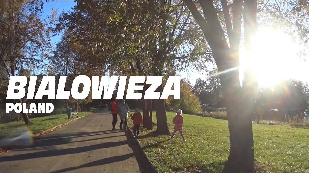 🇵🇱 Europe's  Primal Forest, Bialowieza, Poland. Bialowieza Village and Wildlife.