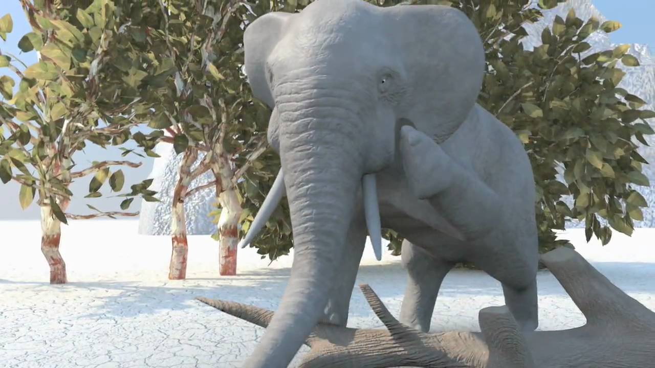 Funny Elephant Animation