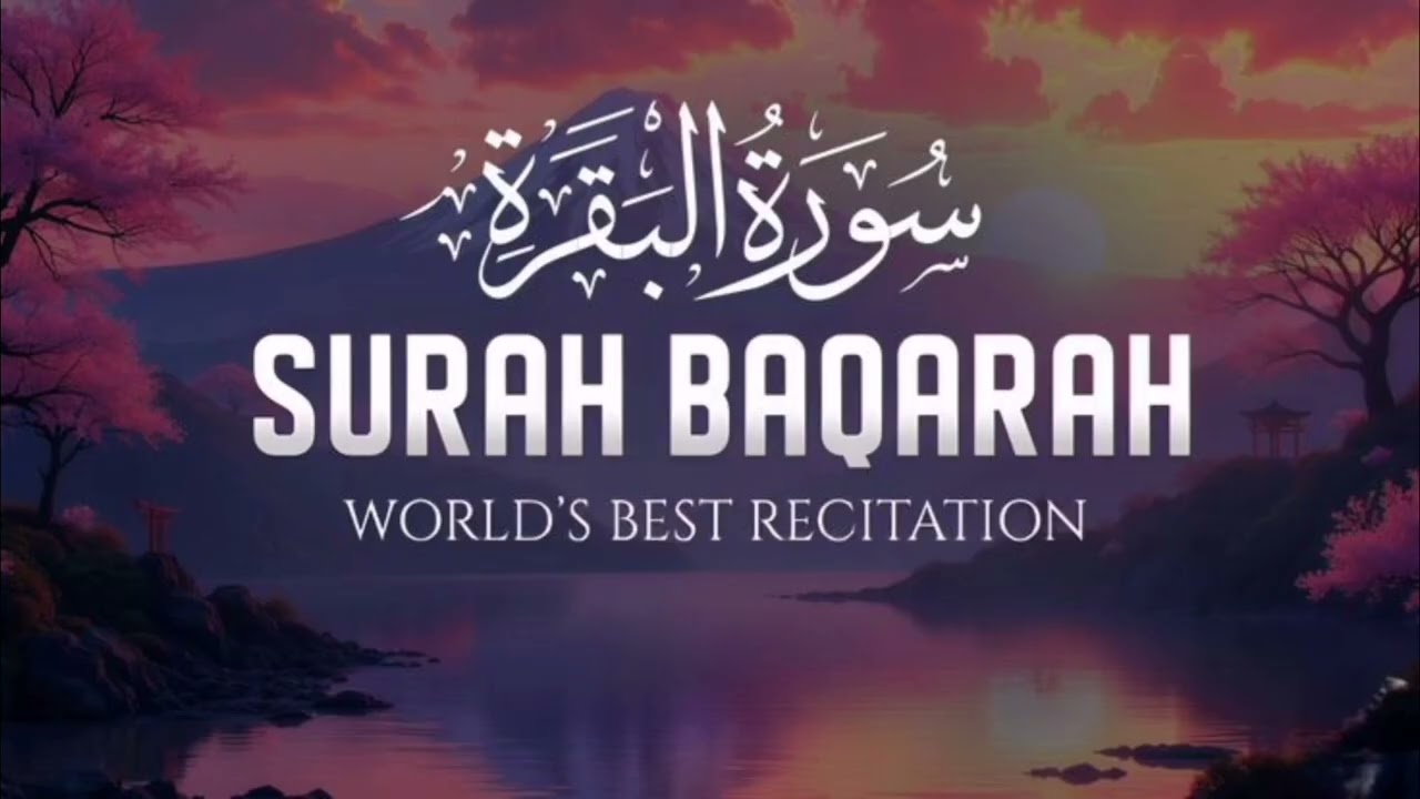 Beautiful quran recitation which of the favours of your lord will you deny   QuranPakfull RECITATION