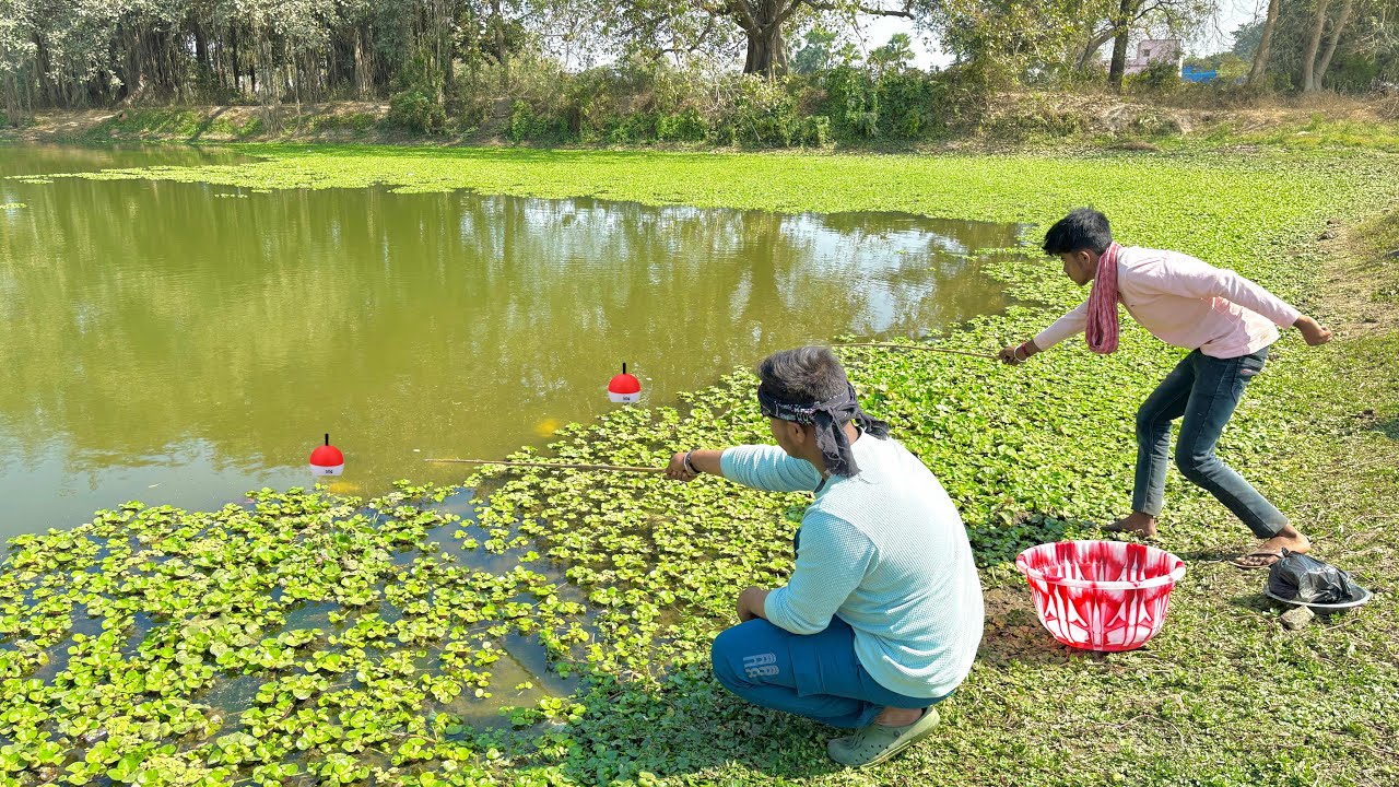 Fishing Video || Everyone can catch fish if they see expert village two boys fishing method || hook 