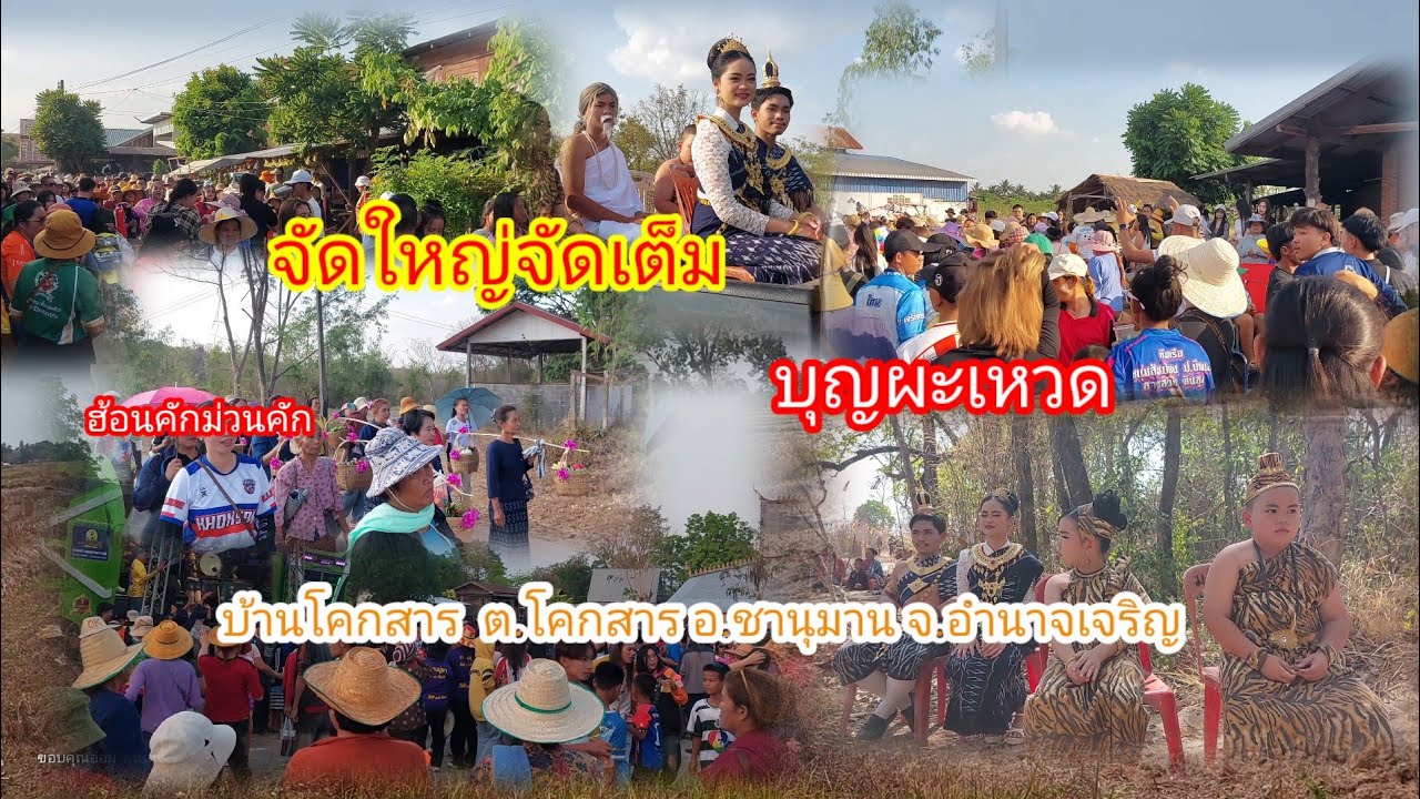 บุญผะเหวดบ้านโคกสาร#อำเภอชานุมาน