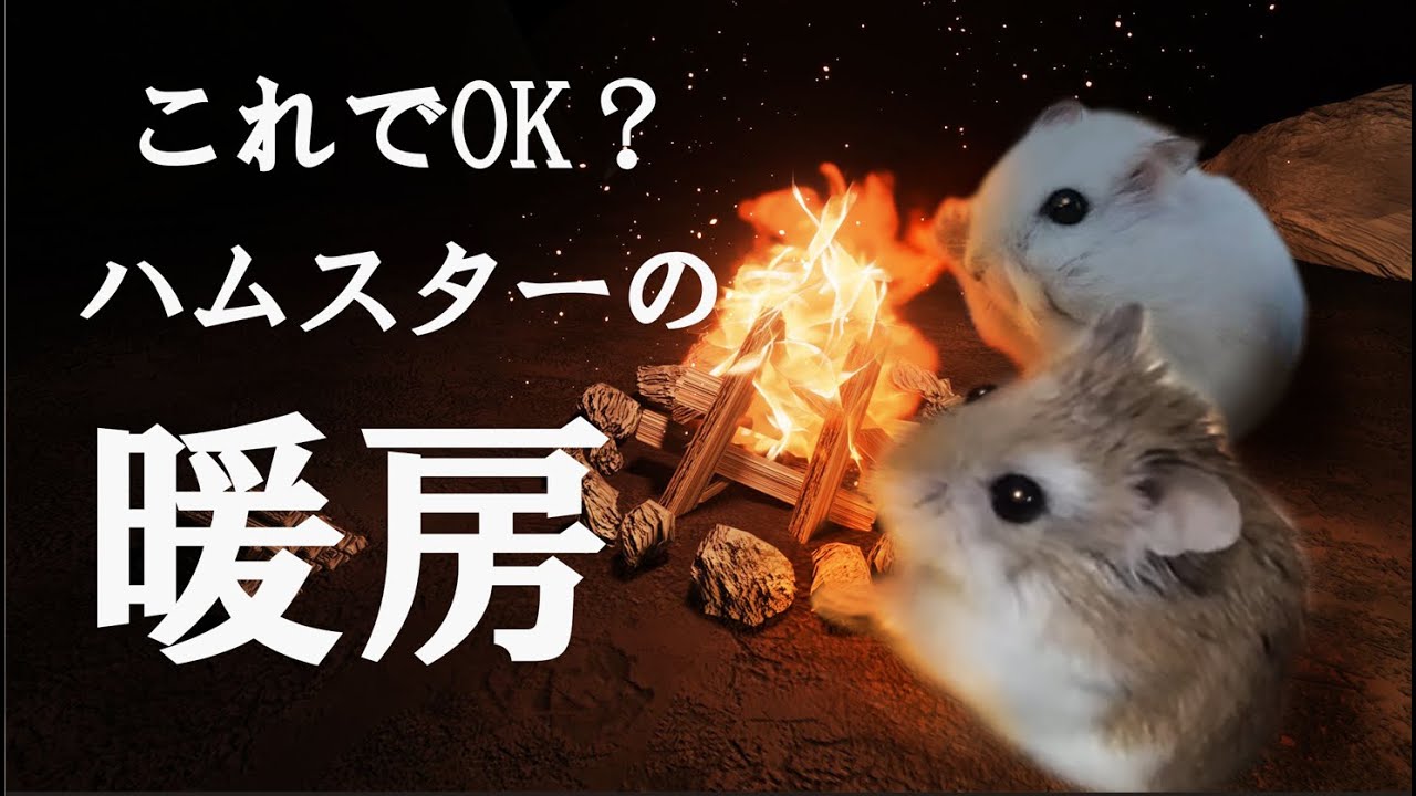 【ハムスター飼育】効果的な暖房の使い方