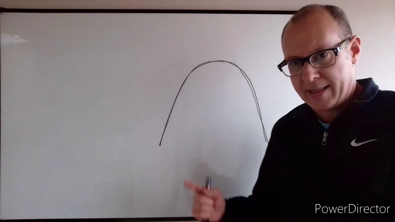 Teórico N° 29 Cavidad oral. Dr. Luciano Esborrat