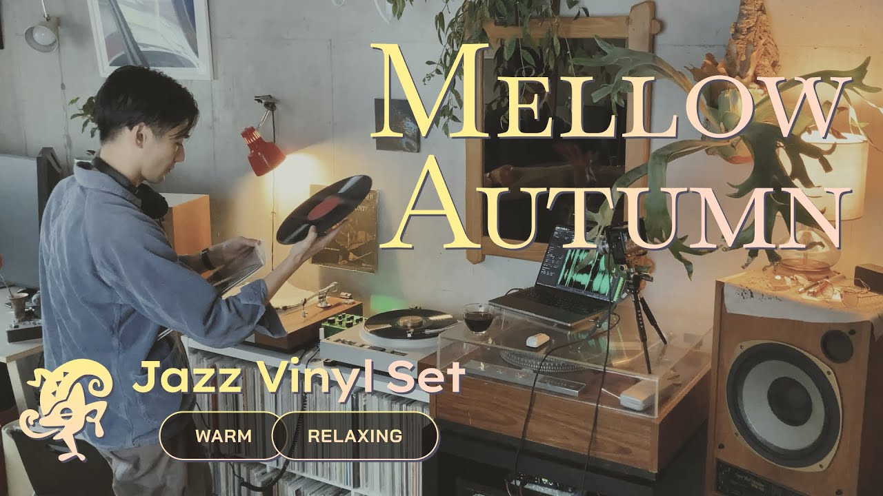 Mellow Autumn Jazz Vinyl Set // Warm & Cozy Sounds for a Quiet Day [50min / 4K]