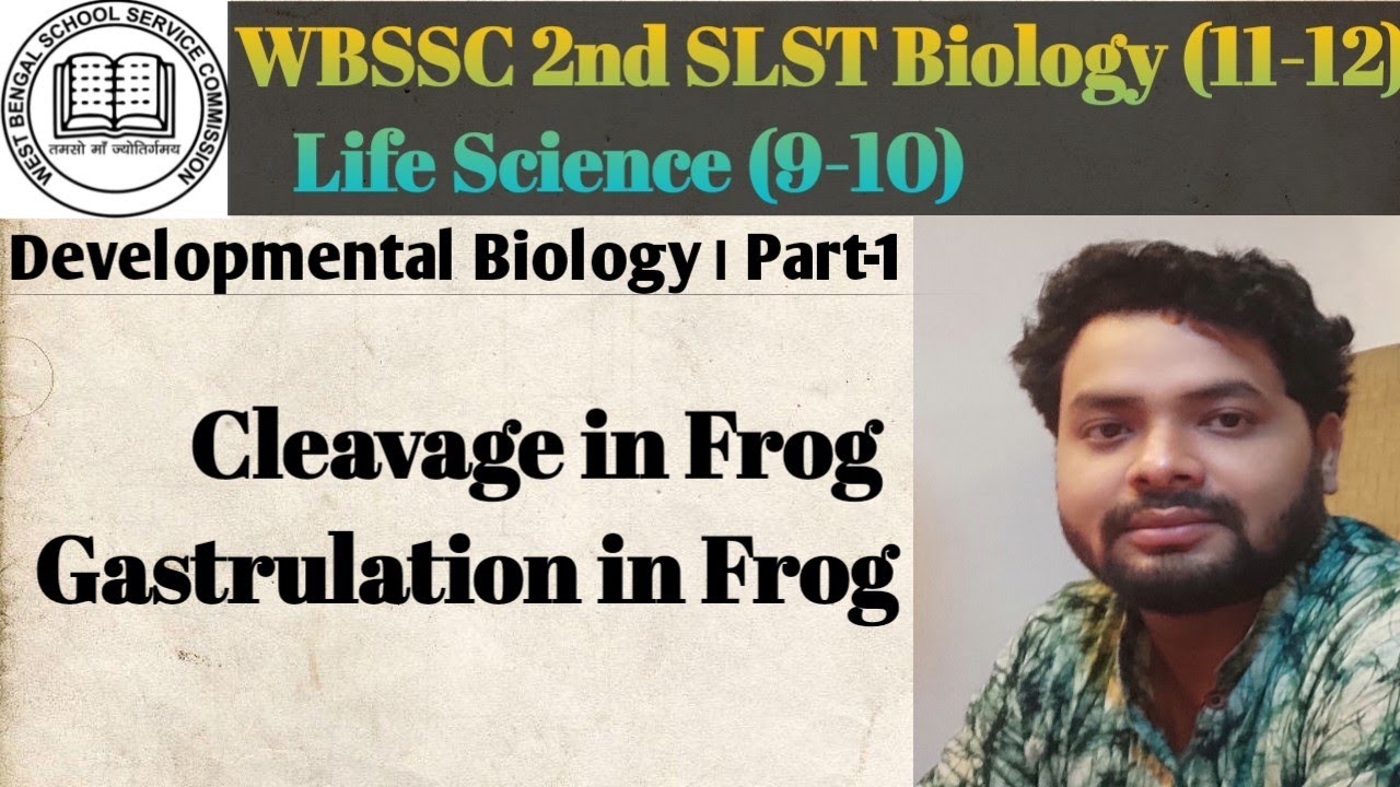 SLST Preparation । Developmental Biology । Cleavage & Gastrulation in Frog#slst #slst_preparation