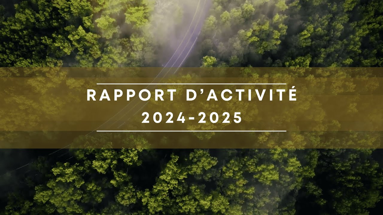 Rapport d'activités 2024-2025