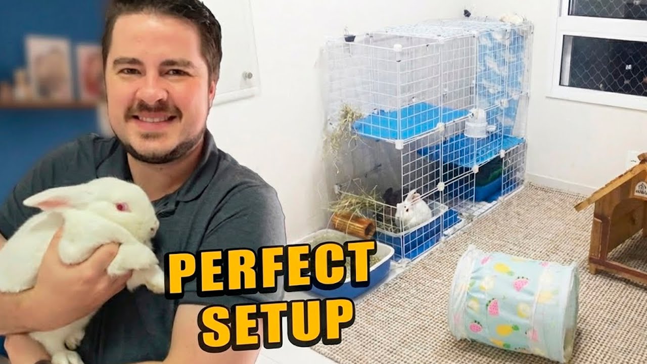 How to raise rabbits in an apartment? [CHANGES EVERYTHING!]