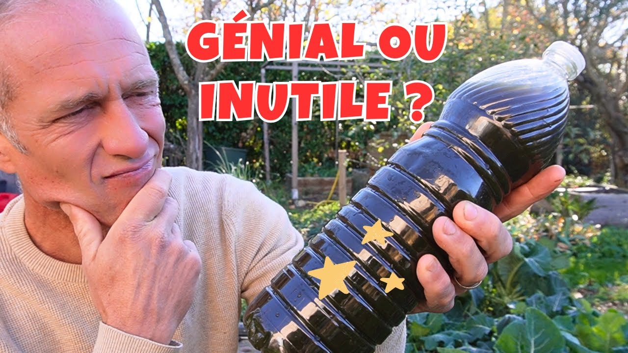 Purin de consoude ► fabrication, composition, utilisation… vraiment efficace ? #potager