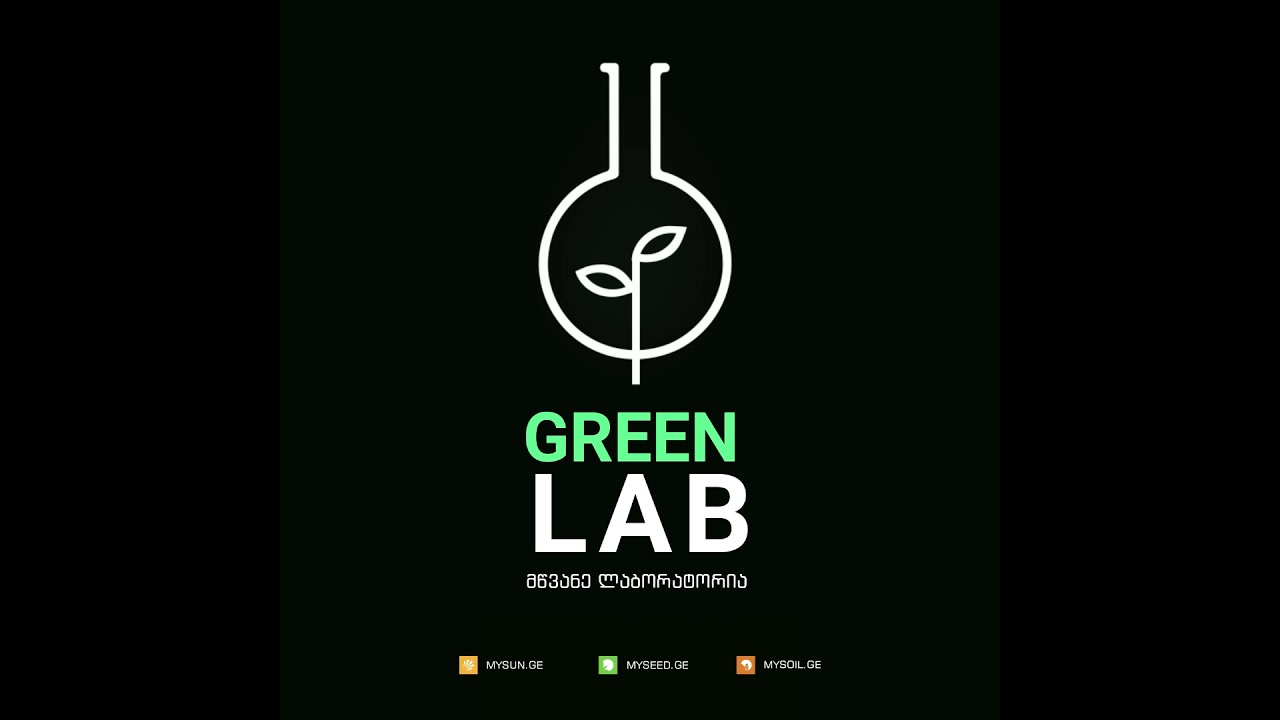 MYSEED.GE -  Green lab instagram
