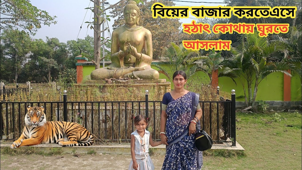 বিয়ের বাজার করতে এসে হঠাৎ করে কোথায় কোথায় ঘুরতে আসলাম || Nandita Sundarban life 