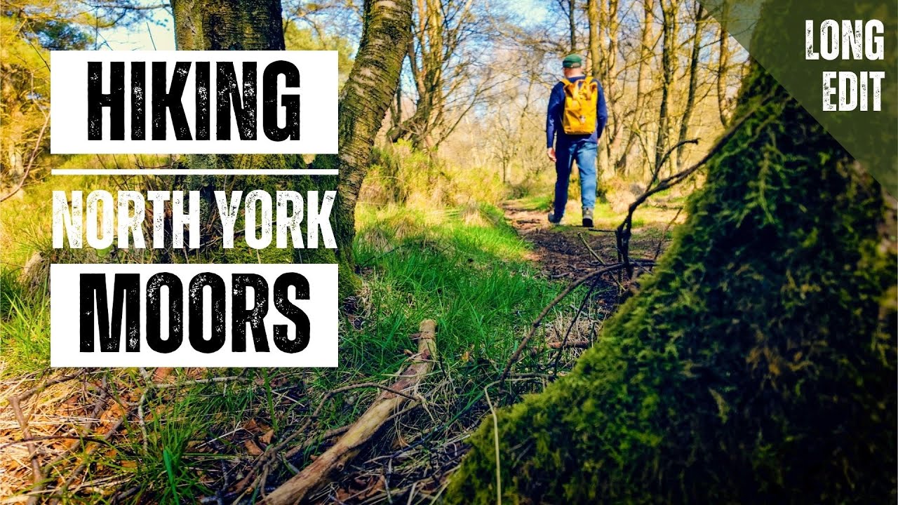 Woodland Walk | Long Edit | North York Moors | Yorkshire | England