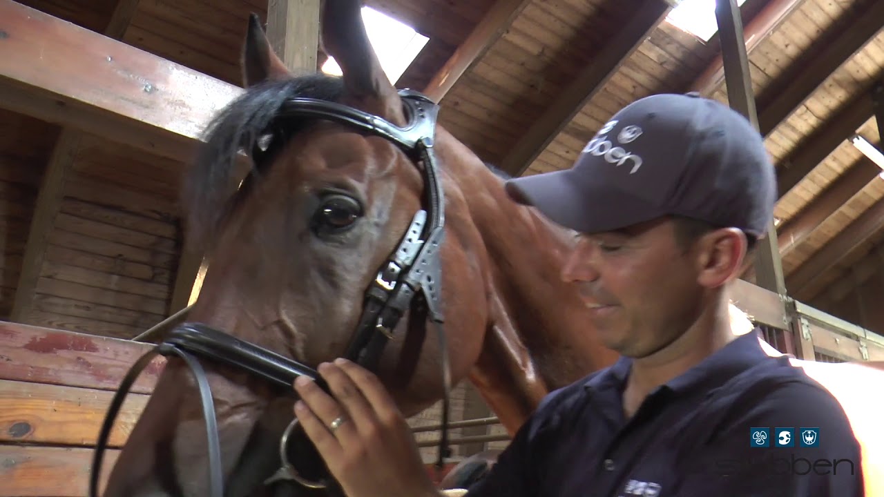 Dom Schramm's review on Stübben's Freedom Bridle