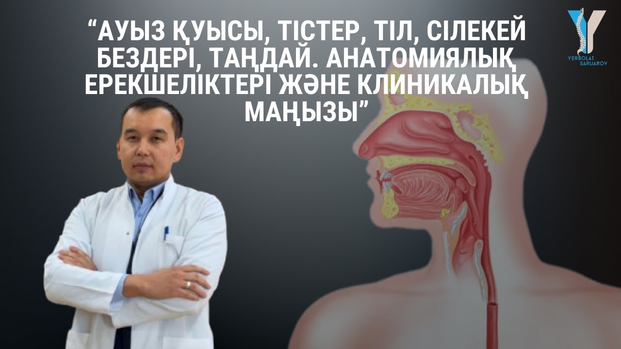 Ауыз қуысы, тістер, тіл, сілекей бездері, таңдай. Анатомиялық ерекешеліктері және клиникалық маңызы