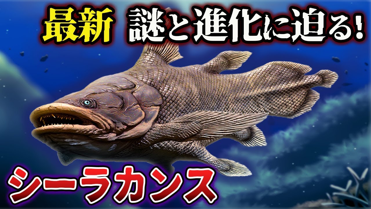 【ゆっくり解説】最新！生きた化石…。シーラカンスって結局どんな生物なの？