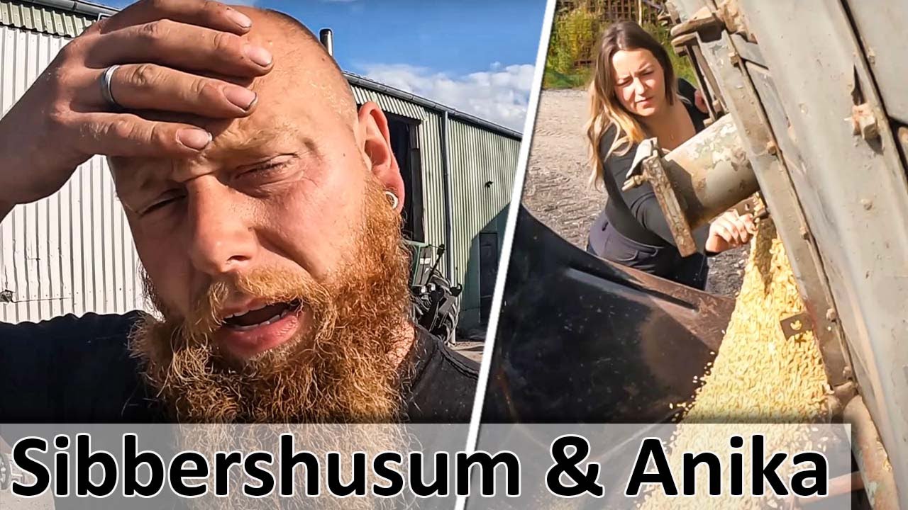 SIBBERSHUSUM und ANIKA bei der HOFARBEIT - Strohballen und Braugerste trocknen - M4cM4nus reagiert