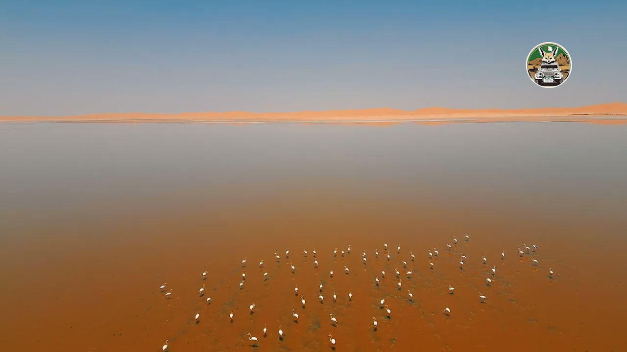 Episode 5 : Ouargla et son lac saharien