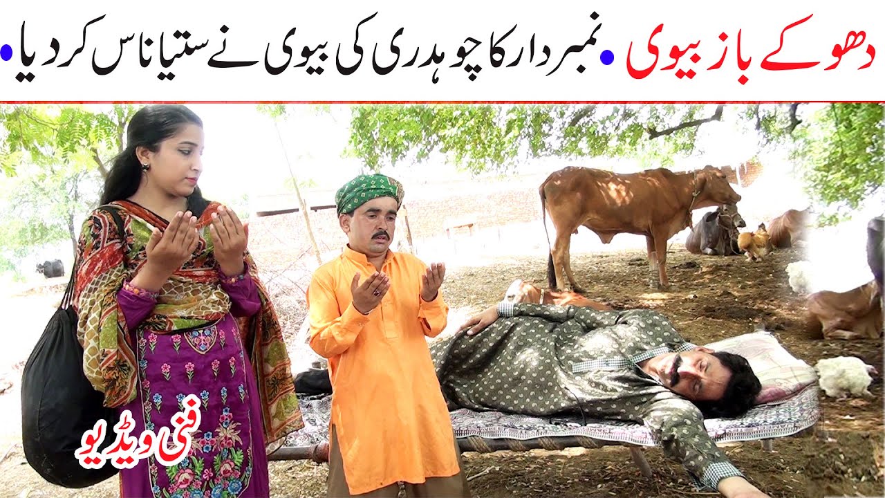 Number Daar Dhokay Baaz Bivi Funny | New Top Funny | Must Watch Top New Comedy Video 2021 |You Tv