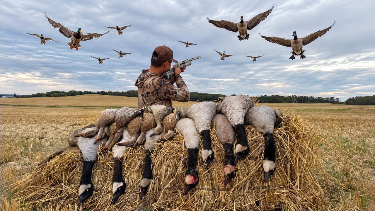 SOLO Double LIMIT Duck and Goose Hunting!