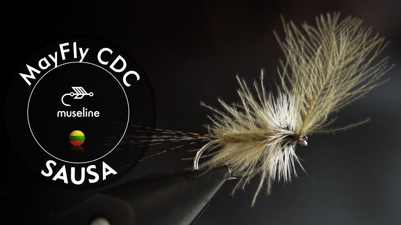 MUSELIŲ RIŠIMAS | CDC Lašalas | Sausa Musė