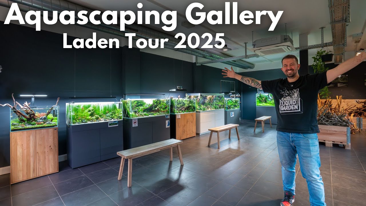 Unser Aquascaping Laden! Liquid Nature Ladentour 2025