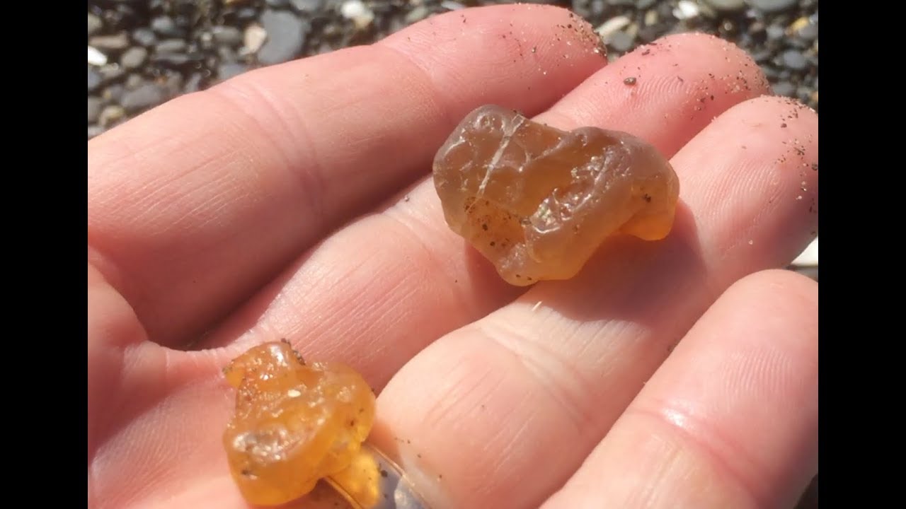 Agate & Rock Hunting at Ocean Shores, WA- directions & tips on where to find agates on Damon Point