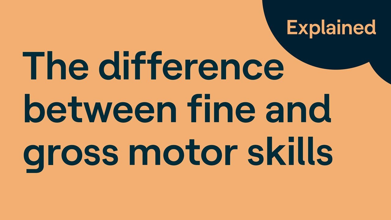 Gross Motor Skills vs. Fine Motor Skills: What&rsquo;s the difference?