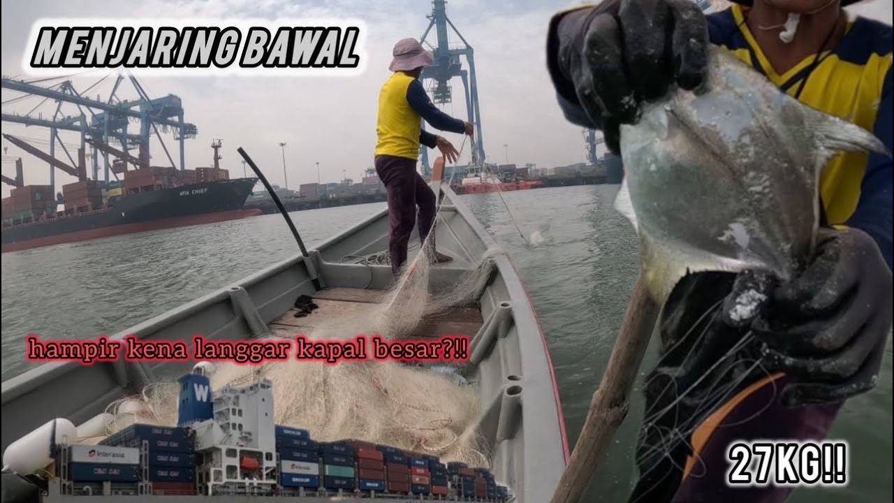 MENJARING BAWAL .. REZEKI TAK DIJANGKA 27KG !!! DUA KALI JARING PUTUS DILANGGAR KAPAL BESAR!!!