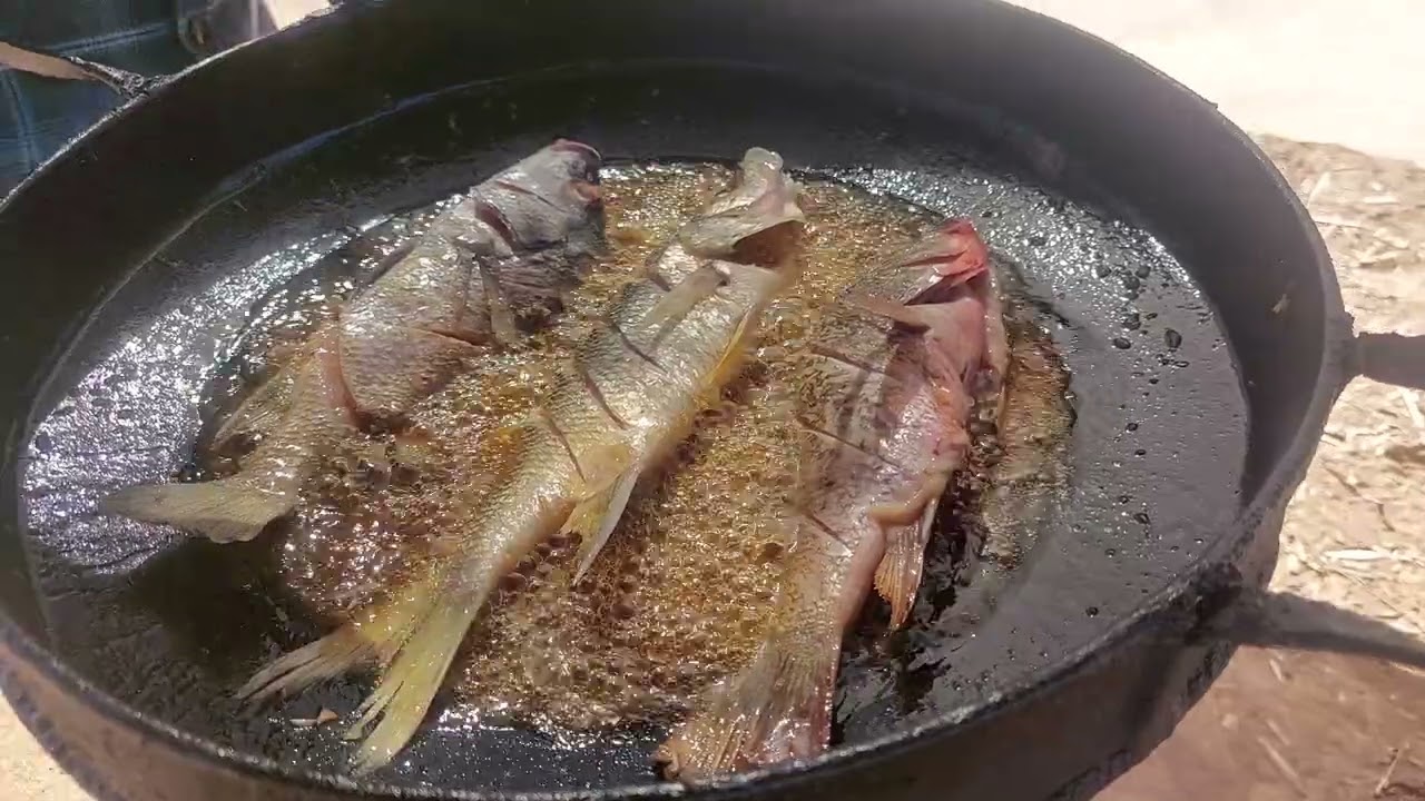 Sembrando y cocinando en el campo