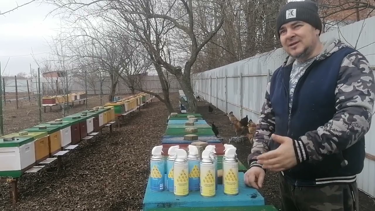 Травим клеща весной. Апизоль!