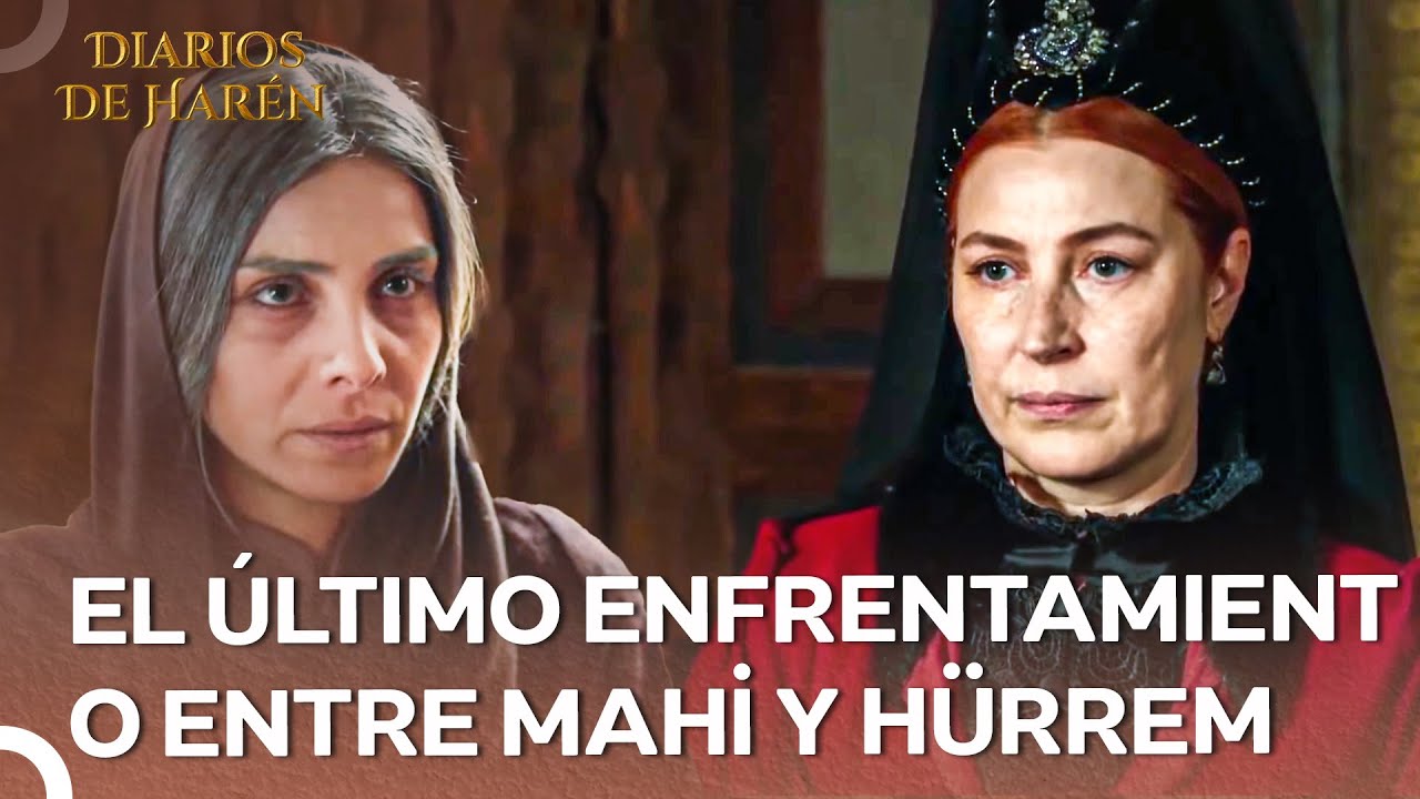¡Ninguno de los Dos Somos Inocentes! | Diarios De Harén