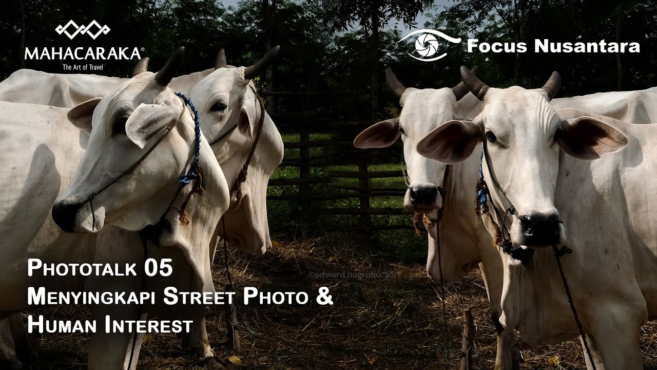 MAHACARAKA Phototalk 05 - Menyingkap Street Photo & Human Interest w/ Gathot Soebroto