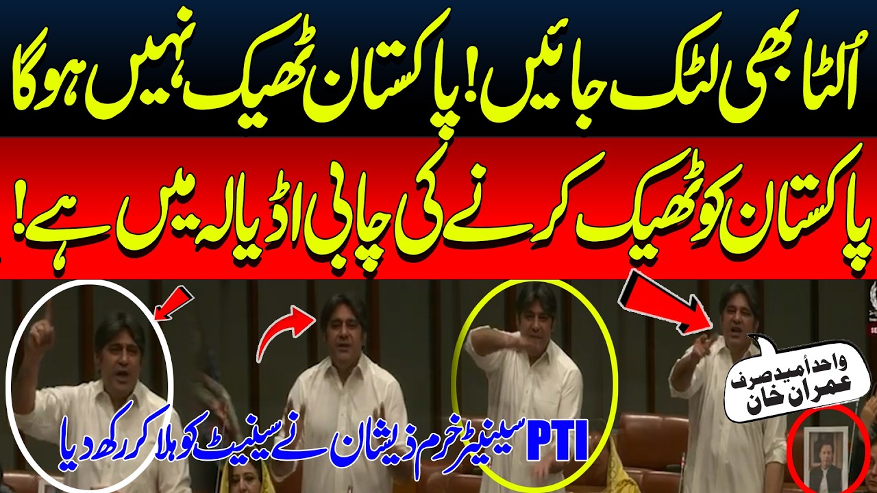 PTI Senator Senator Khurram Zeeshan Heated Speech in Senate Budget Session 2026-27 |  Pakistan News