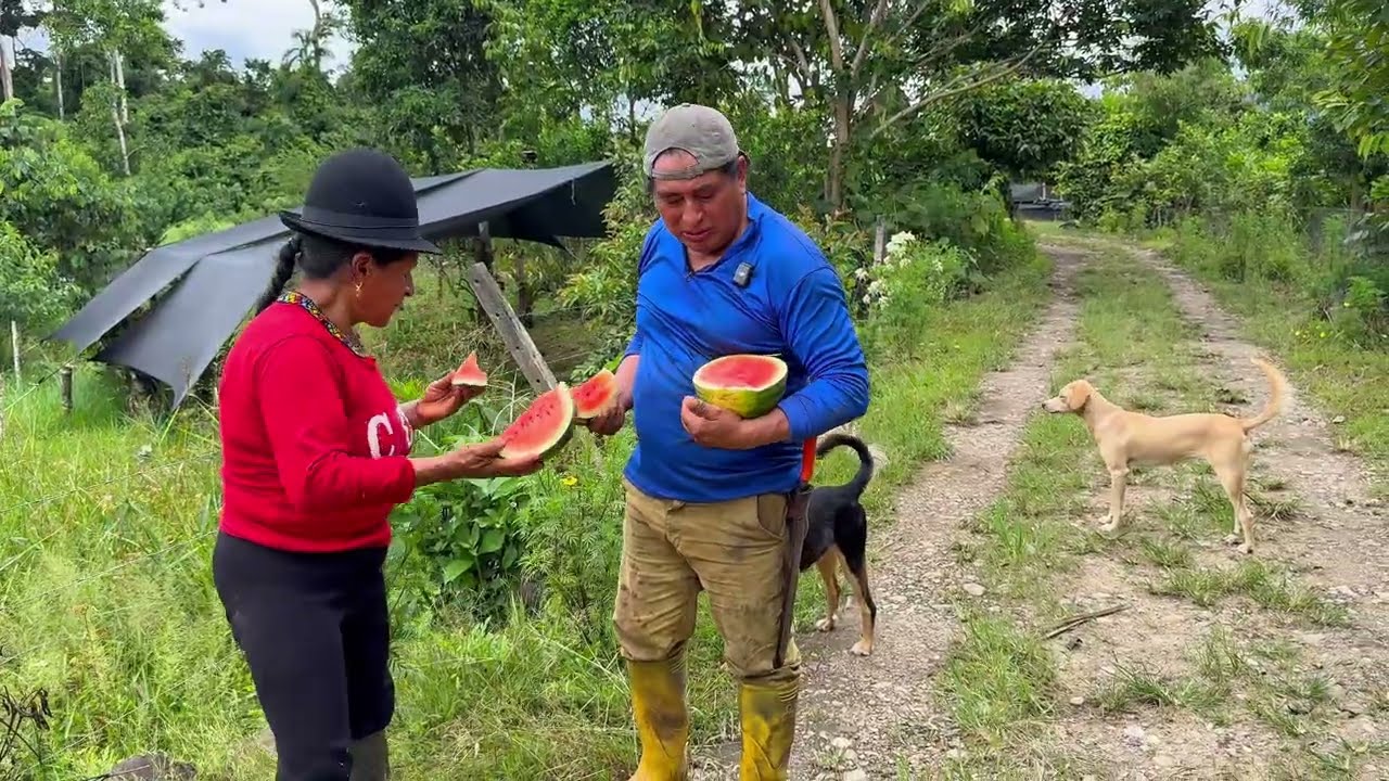 Nada mejor que probar la sandia que uno mismo sembro