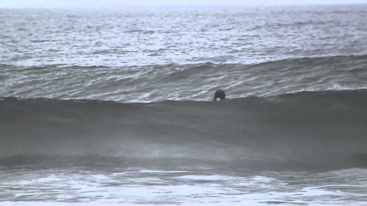 Narragansett Surfing