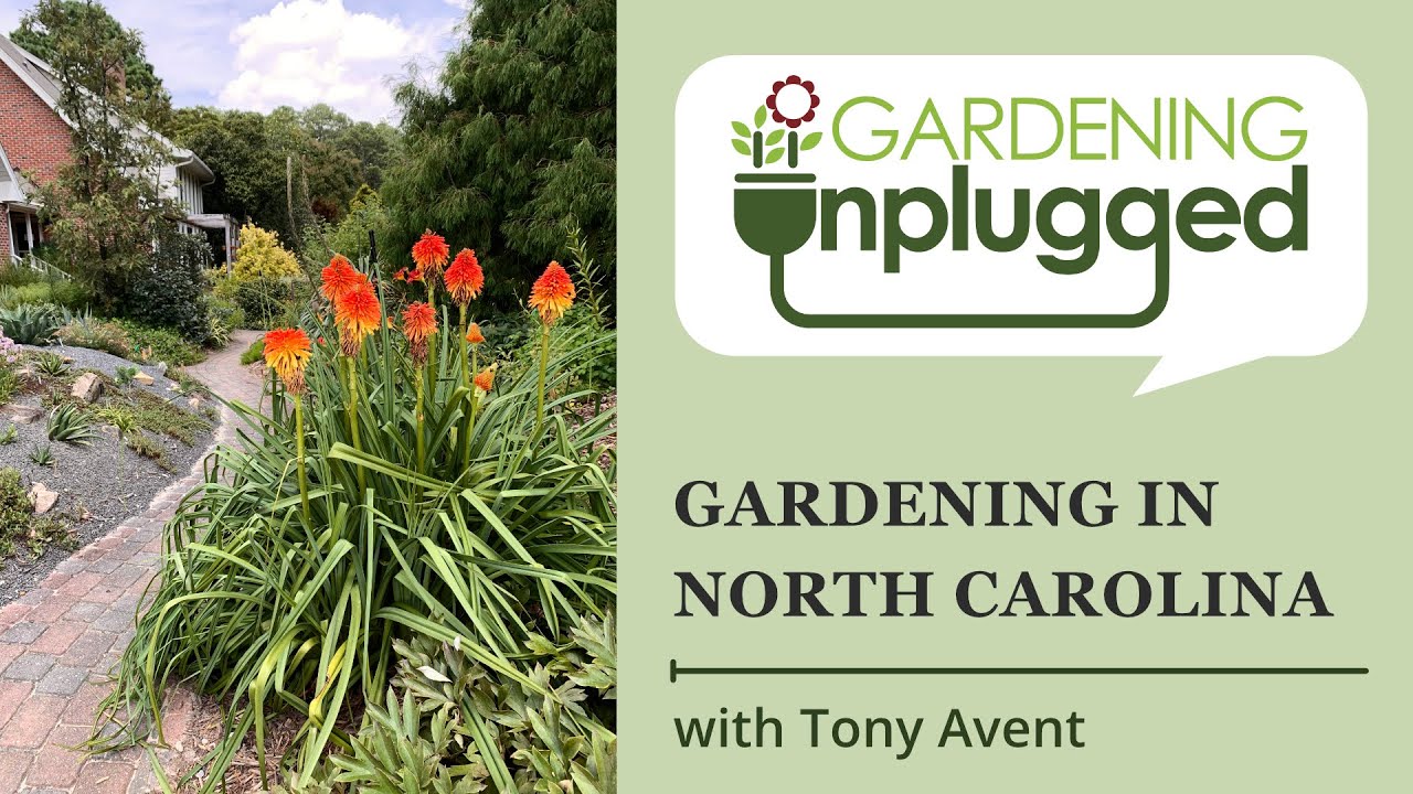 Gardening Unplugged - Gardening in North Carolina with Tony Avent