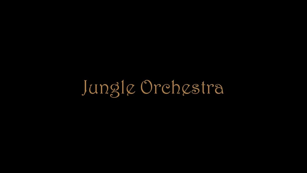 Jungle Orchestra - A Jungle Rhythms Production