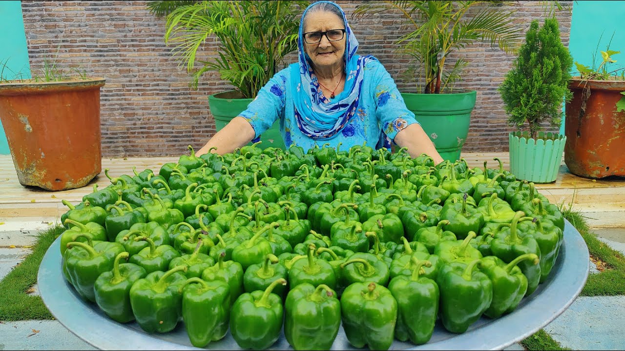 Shimla Mirch Recipe | Onion Capsicum Masala Recipe By Granny | Indian recipes | Veg Village food