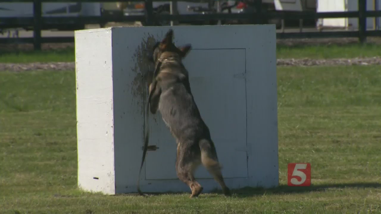 Franklin Police Trains New K9 Police Dogs