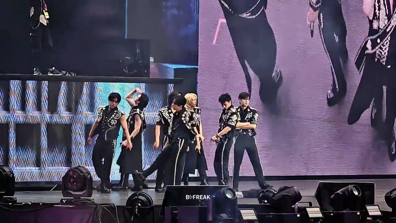 250726 ｜ STRAY KIDS dominATE PARIS D1｜ BACK DOOR + Dancers stage