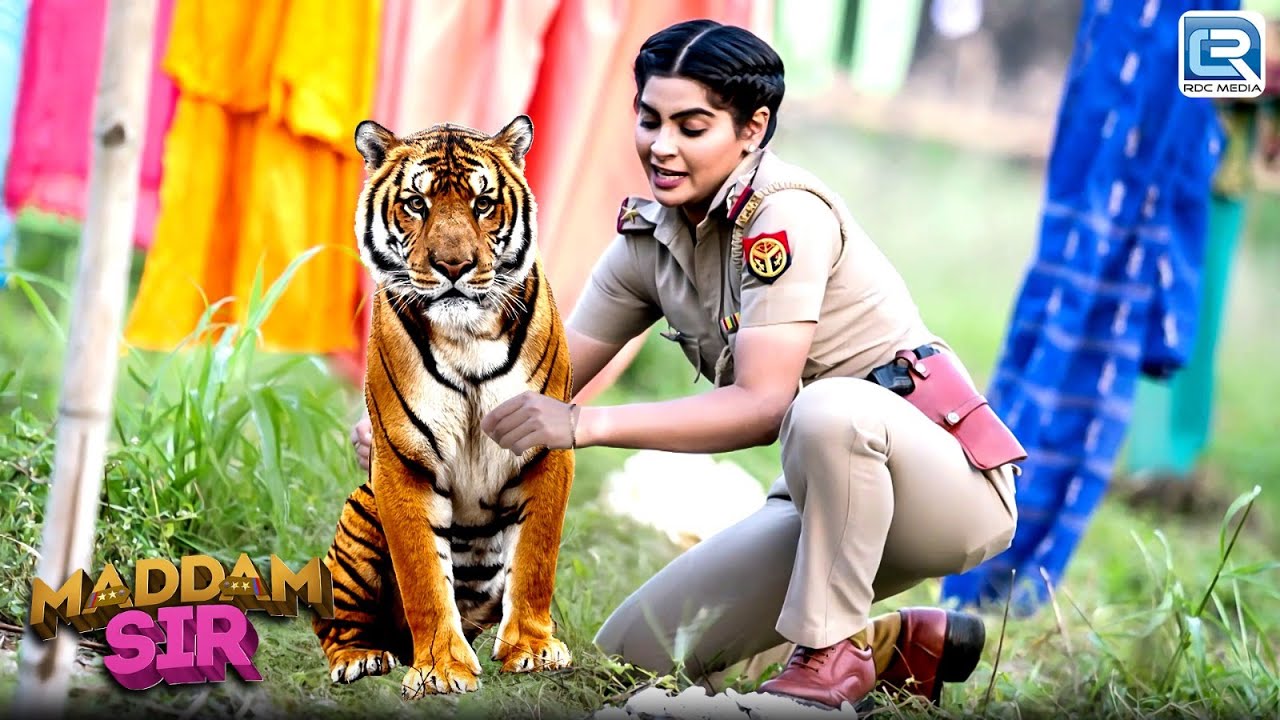 Karishma Singh ने कैसे बचाया जब खूंखार शेर को ? | Maddam Sir | Latest Full Epiosde 605