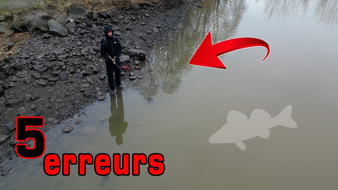 Les 5 pires erreurs à ne pas faire pour pêcher le sandre du bord